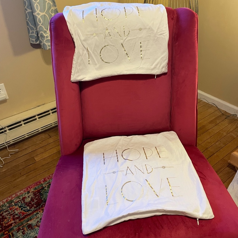 Throw Pillow Covers